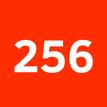 256