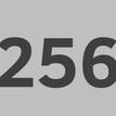 256