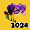 1024
