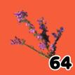 64