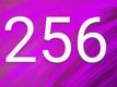 256