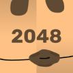 2048
