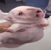 1024