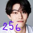 256