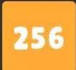 256